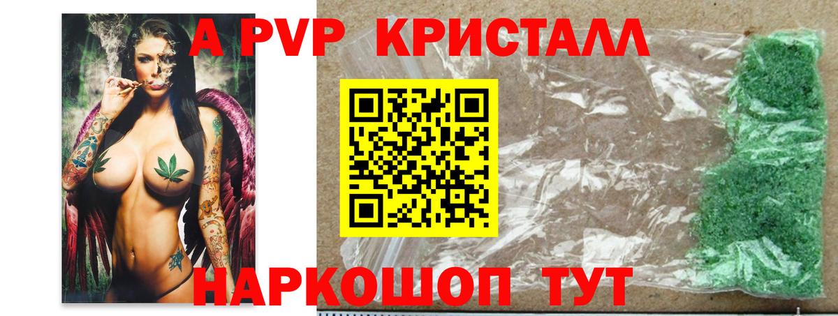 Alfa_PVP СК Санкт-Петербург