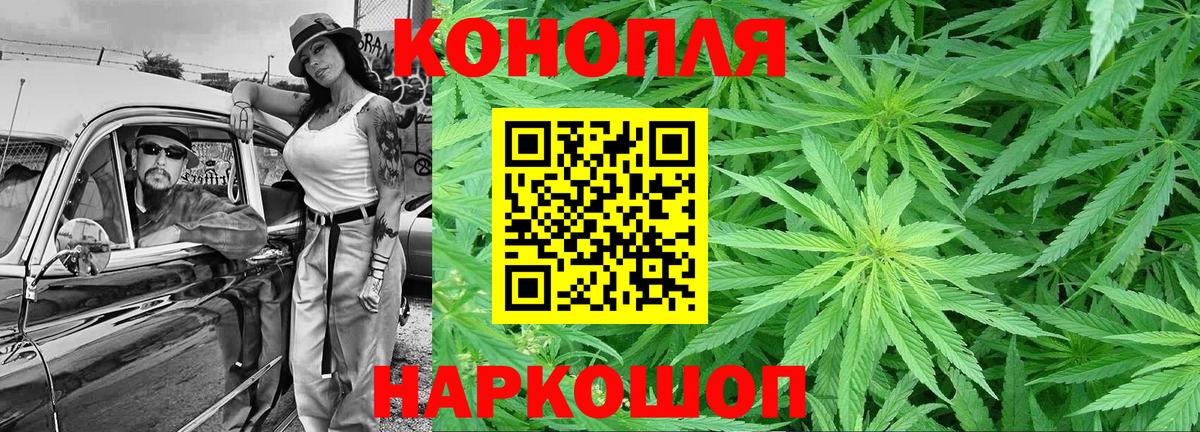 Бошки марихуана OG Kush  МАРИХУАНА планчик  Бошки Шишки гибрид  Вход с VPN  Марихуана план  Санкт-Петербург 